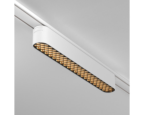 Сделать заказ Светильник на шине Maytoni Technical TR084-1-12W3K-W| VIVID-LIGHT.RU