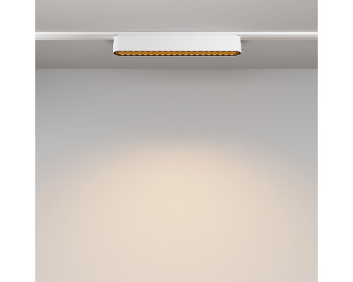 Сделать заказ Светильник на шине Maytoni Technical TR084-1-12W3K-W| VIVID-LIGHT.RU
