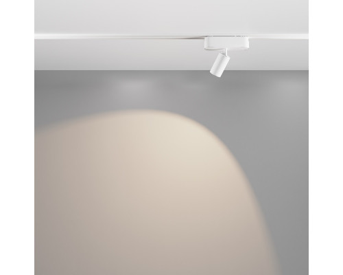 Заказать Светильник на шине Maytoni Technical TR103-1-5W4K-M-W| VIVID-LIGHT.RU