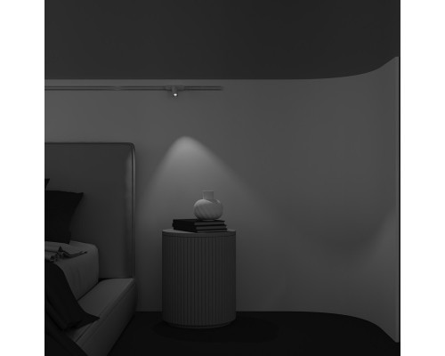 Заказать Светильник на шине Maytoni Technical TR103-1-5W4K-M-W| VIVID-LIGHT.RU