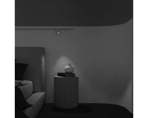 Заказать Светильник на шине Maytoni Technical TR103-1-12W4K-M-W| VIVID-LIGHT.RU