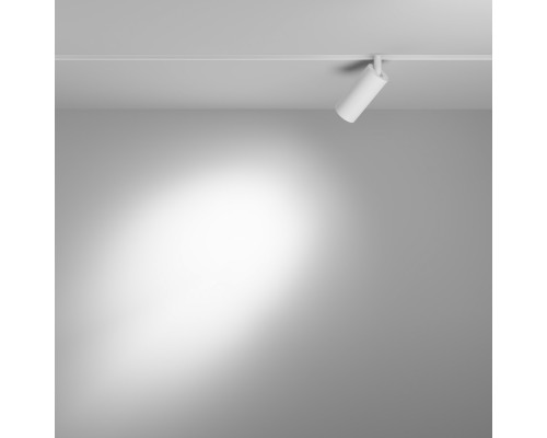 Заказать Светильник на шине Maytoni Technical TR032-4-5W3K-S-DS-W| VIVID-LIGHT.RU