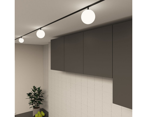 Оформить заказ Светильник на шине Denkirs DK8051-BK| VIVID-LIGHT.RU