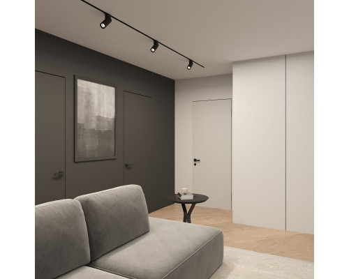 Купить Светильник на шине Denkirs DK6080-BK| VIVID-LIGHT.RU