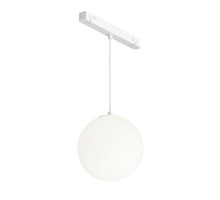 Светильник на шине Maytoni Technical TR039-4-5W3K-WW-DS-W