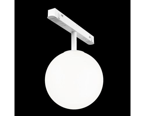 Сделать заказ Светильник на шине Maytoni Technical TR038-4-5W3K-WW-DS-W| VIVID-LIGHT.RU