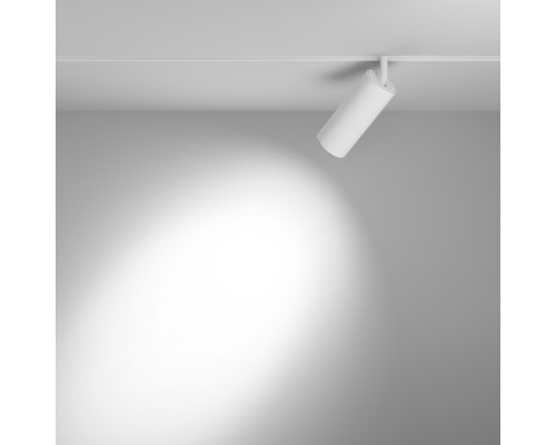 Купить Светильник на шине Maytoni Technical TR032-4-20W3K-S-DS-W| VIVID-LIGHT.RU