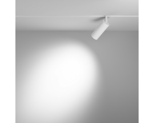 Заказать Светильник на шине Maytoni Technical TR032-4-12W3K-S-DS-W| VIVID-LIGHT.RU