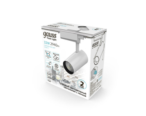 Заказать Светильник на шине Gauss TR087| VIVID-LIGHT.RU