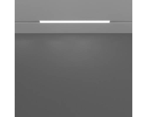 Заказать Светильник на шине Maytoni Technical TR030-4-12WTW-DD-W| VIVID-LIGHT.RU