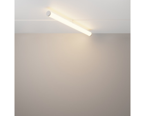 Сделать заказ Светильник на шине Maytoni Technical TR086-4-25W-DS-W| VIVID-LIGHT.RU