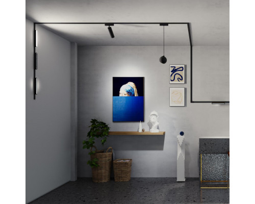 Заказать Светильник на шине Novotech 359098| VIVID-LIGHT.RU