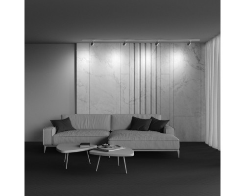 Купить Светильник на шине Maytoni Technical TR088-1-GX53-S| VIVID-LIGHT.RU