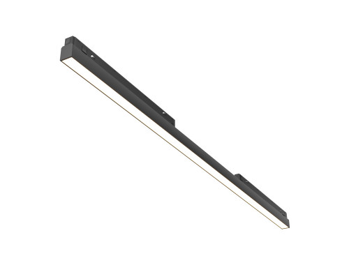 Купить Светильник на шине Maytoni Technical TR030-2-30W3K-B| VIVID-LIGHT.RU