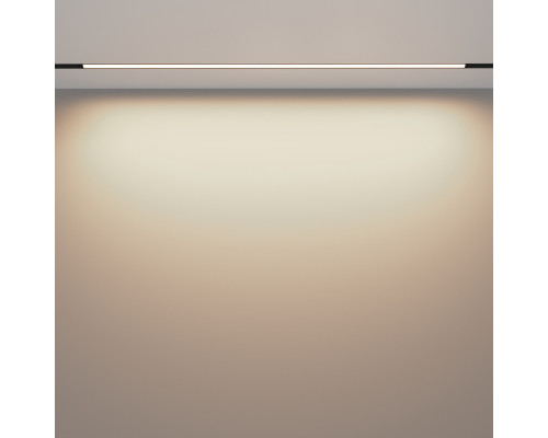 Купить Светильник на шине Maytoni Technical TR030-2-30W3K-B| VIVID-LIGHT.RU