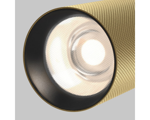 Заказать Светильник на шине Maytoni Technical TR097-2-12W4K-M-BMG| VIVID-LIGHT.RU