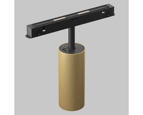 Заказать Светильник на шине Maytoni Technical TR097-2-12W4K-M-BMG| VIVID-LIGHT.RU