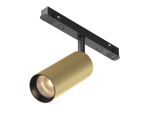 Купить Светильник на шине Maytoni Technical TR097-2-12W3K-M-BMG| VIVID-LIGHT.RU