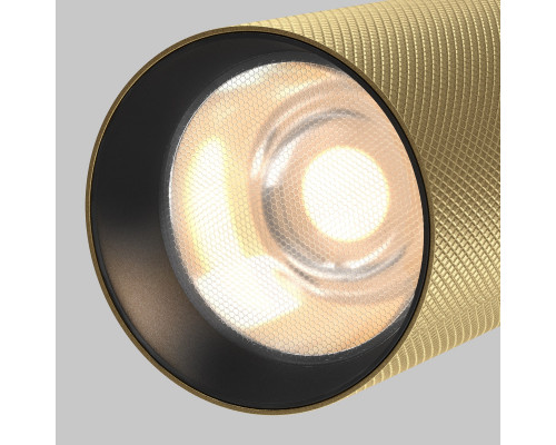 Купить Светильник на шине Maytoni Technical TR097-2-12W3K-M-BMG| VIVID-LIGHT.RU