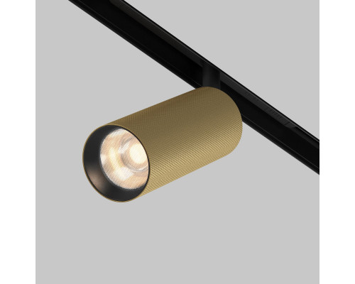 Купить Светильник на шине Maytoni Technical TR097-2-12W3K-M-BMG| VIVID-LIGHT.RU
