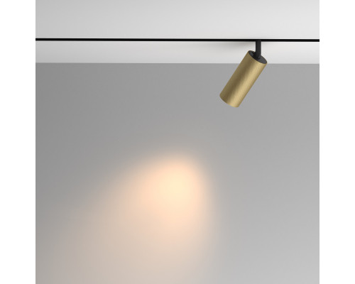 Купить Светильник на шине Maytoni Technical TR097-2-12W3K-M-BMG| VIVID-LIGHT.RU