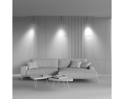 Заказать Светильник на шине Maytoni Technical TR005-2-12W4K-BW| VIVID-LIGHT.RU