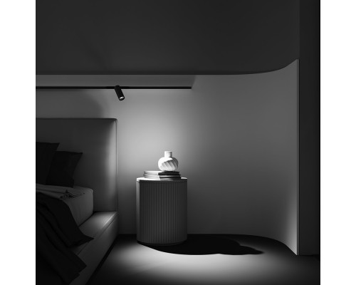 Купить Светильник на шине Maytoni Technical TR032-4-12W3K-M-DS-BBS| VIVID-LIGHT.RU