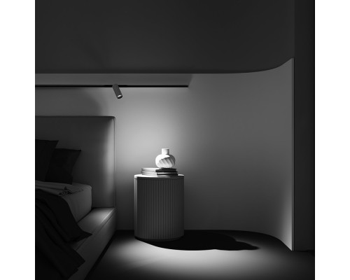 Сделать заказ Светильник на шине Maytoni Technical TR032-4-12W3K-M-DS-BW| VIVID-LIGHT.RU