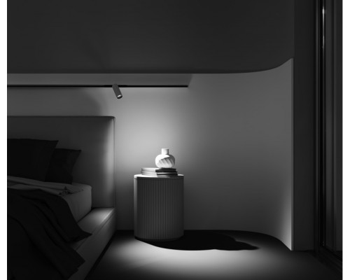 Сделать заказ Светильник на шине Maytoni Technical TR032-4-12W3K-M-DS-BW| VIVID-LIGHT.RU