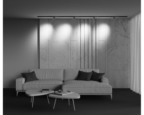 Сделать заказ Светильник на шине Maytoni Technical TR021-1-12W3K-W-BBS| VIVID-LIGHT.RU