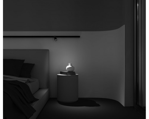 Заказать Светильник на шине Maytoni Technical TR032-2-5W3K-M-BBS| VIVID-LIGHT.RU