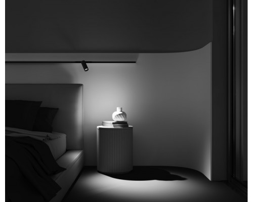 Оформить заказ Светильник на шине Maytoni Technical TR032-2-12W3K-M-BBS| VIVID-LIGHT.RU