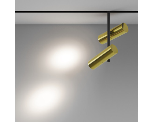 Сделать заказ Светильник на шине Maytoni Technical TR005-2-2X12W4K-BBS| VIVID-LIGHT.RU