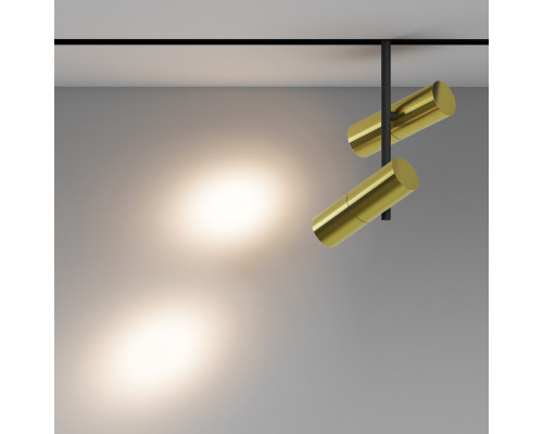 Заказать Светильник на шине Maytoni Technical TR005-2-2X12W3K-BBS| VIVID-LIGHT.RU