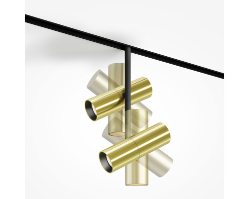 Заказать Светильник на шине Maytoni Technical TR005-2-2X12W3K-BBS| VIVID-LIGHT.RU