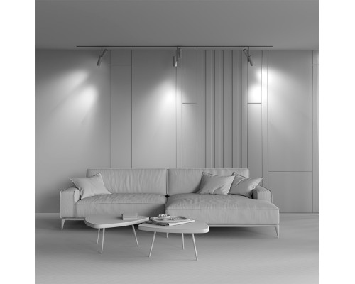 Заказать Светильник на шине Maytoni Technical TR005-2-2X12W3K-BBS| VIVID-LIGHT.RU