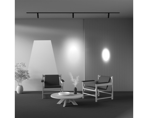 Заказать Светильник на шине Maytoni Technical TR108-2-10W4K-B| VIVID-LIGHT.RU