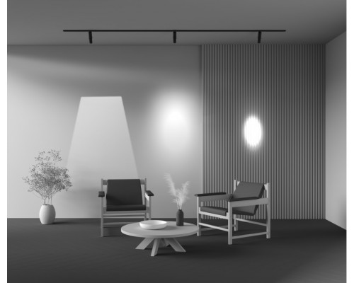 Заказать Светильник на шине Maytoni Technical TR108-2-10W4K-B| VIVID-LIGHT.RU