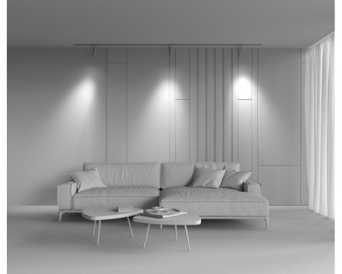 Оформить заказ Светильник на шине Maytoni Technical TR005-2-12W4K-BBS| VIVID-LIGHT.RU