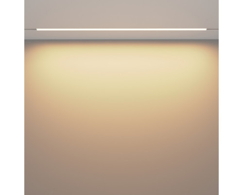 Заказать Светильник на шине Maytoni Technical TR030-4-30W3K-WW-DS-W| VIVID-LIGHT.RU