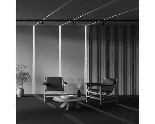 Сделать заказ Светильник на шине Maytoni Technical TR090-4-6W-DS-B| VIVID-LIGHT.RU