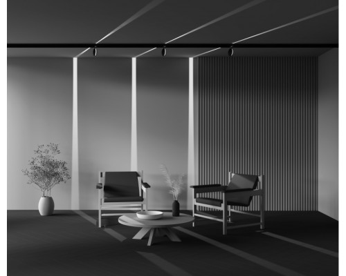 Сделать заказ Светильник на шине Maytoni Technical TR090-4-6W-DS-B| VIVID-LIGHT.RU