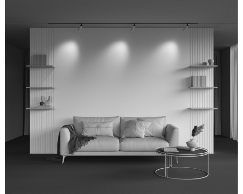 Заказать Светильник на шине Maytoni Technical TR097-2-12W3K-M-BW| VIVID-LIGHT.RU