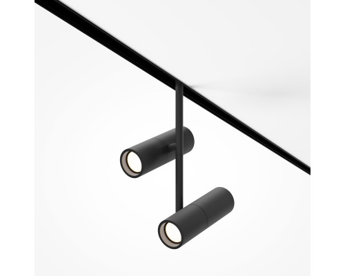 Сделать заказ Светильник на шине Maytoni Technical TR005-2-2X12W3K-B| VIVID-LIGHT.RU