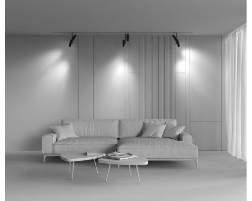 Сделать заказ Светильник на шине Maytoni Technical TR005-2-2X12W3K-B| VIVID-LIGHT.RU