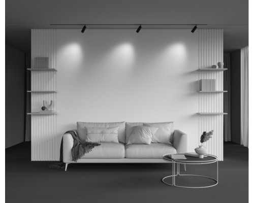 Заказать Светильник на шине Maytoni Technical TR097-2-12W4K-M-BB| VIVID-LIGHT.RU