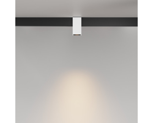 Оформить заказ Светильник на шине Maytoni Technical TR121-2-7W3K-W| VIVID-LIGHT.RU