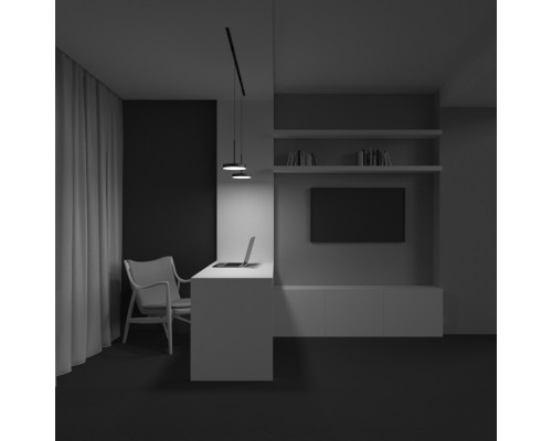 Сделать заказ Светильник на шине Maytoni Technical TR123-2-15W4K-B| VIVID-LIGHT.RU