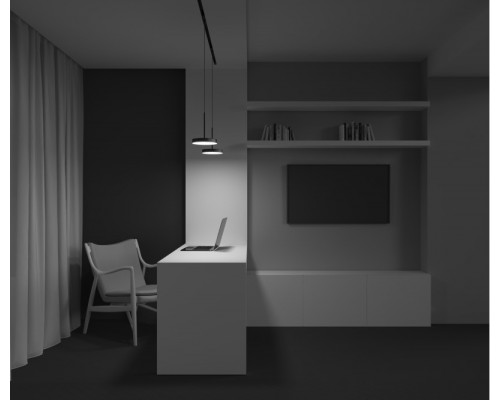 Сделать заказ Светильник на шине Maytoni Technical TR123-2-15W4K-B| VIVID-LIGHT.RU