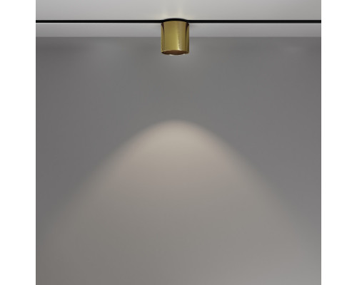 Оформить заказ Светильник на шине Maytoni Technical TR132-2-7W4K-BS| VIVID-LIGHT.RU